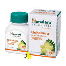 GOKSHURA TAB 60 TAB